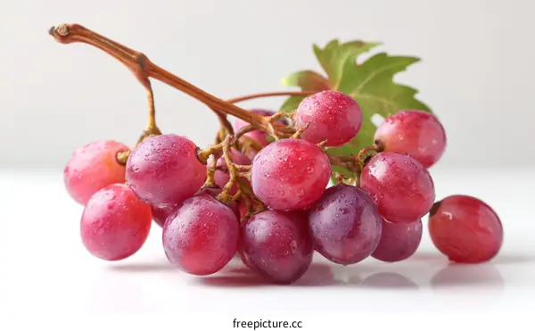Closeup of Fresh Red Grapes with Water Droplets