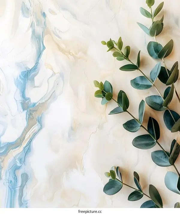 Green Eucalyptus Branches On Marble Background