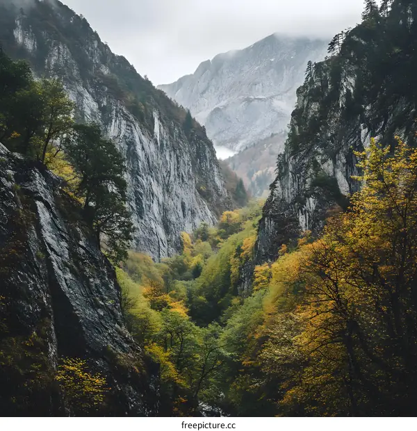 Mountain Valley with Autumn Foliage