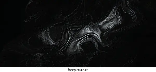 Abstract Black and White Fluid Art