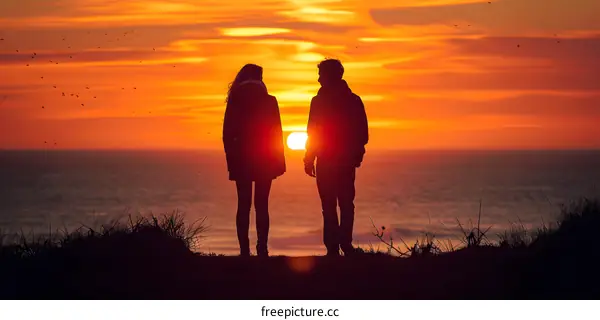 A couple watching the sunset over the ocean