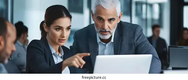 Business Partners Discussing Project on Laptop in Office