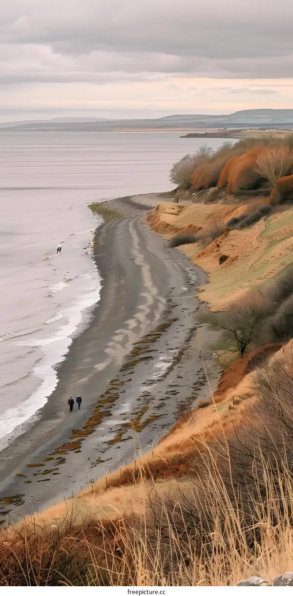 Aerial View of a Coastal Landscape with People Walking on the Beach