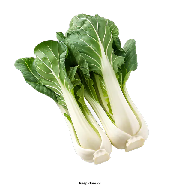[Transparent Background PNG]Fresh Green Bok Choy Isolated On White Background