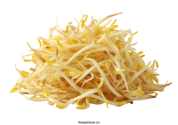 [Transparent Background PNG]Pile of Fresh Mung Bean Sprouts