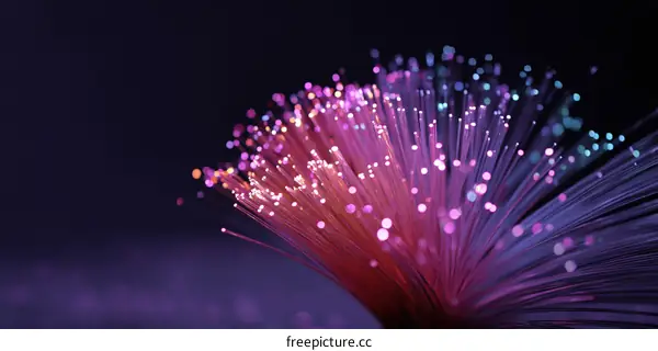 Colorful Optical Fiber Network Technology