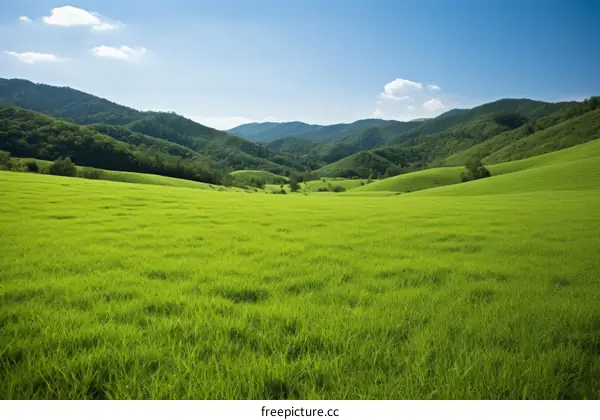 An Expansive Landscape of Verdant Hills and Azure Skies