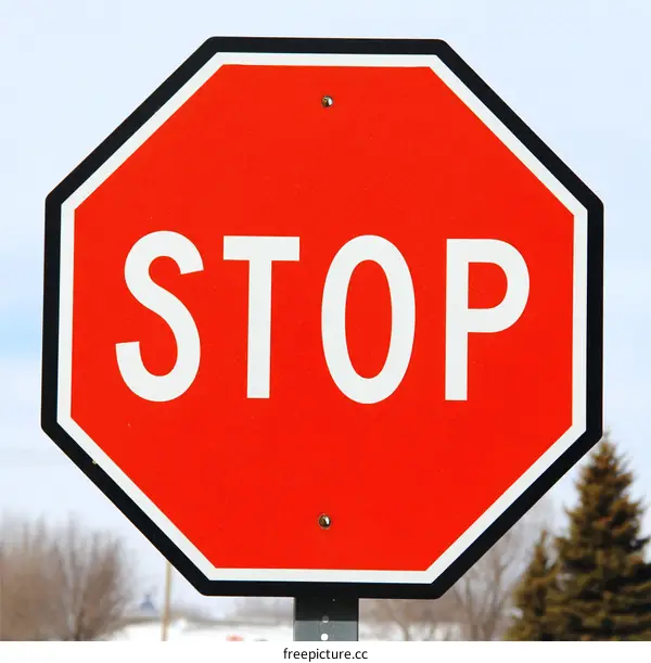 Octagonal Red Stop Sign