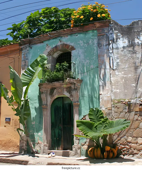 Old Green Building with Banana Plants and Yellow Flowers