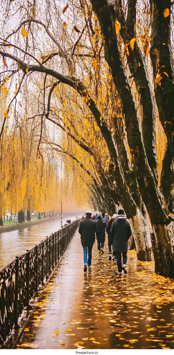 Autumn Walk Along a Canal With Yellow Leaves and People
