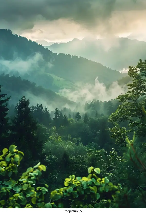 Misty Mountain Landscape with Lush Greenery