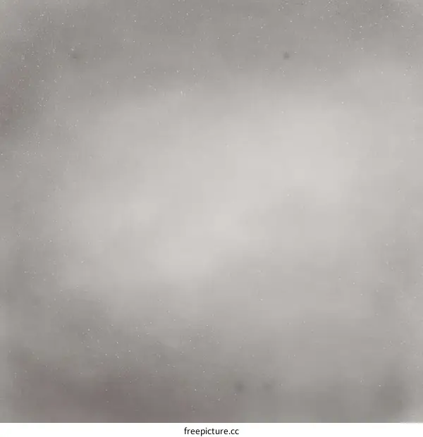 Abstract Light Gray Texture Background