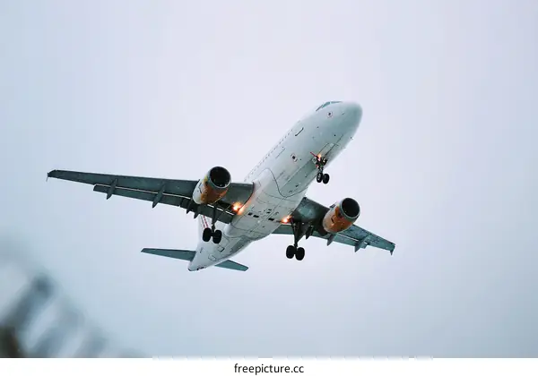 Airplane Landing in Cloudy Sky