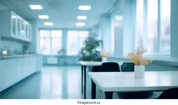 Modern Office Space Interior Design