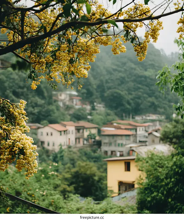 Yellow Flowers Blooming in Front of Houses on a Mountain