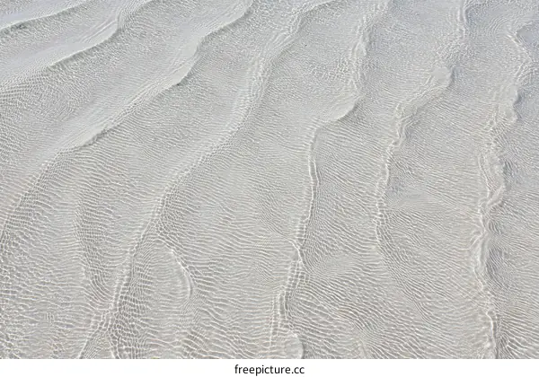 Abstract Patterns of Rippled Sand