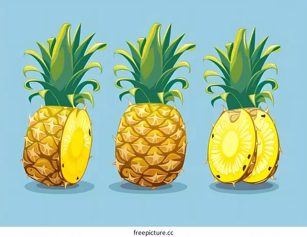 Three Pineapples Illustration
