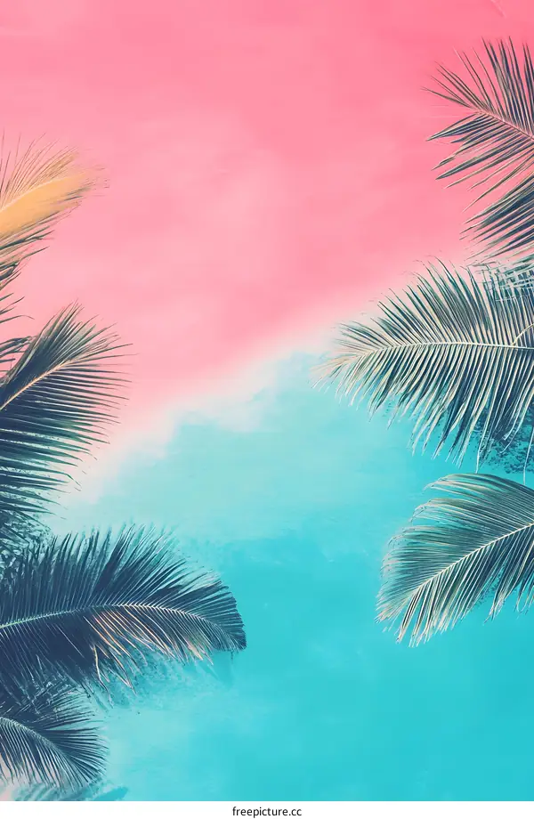 Tropical Palm Leaves on Pink and Blue Background