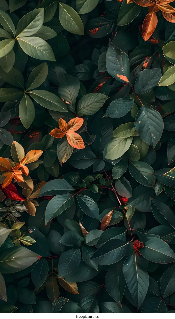 Green and Brown Leaves Texture Background