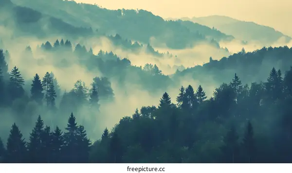 Foggy Mountain Landscape with Lush Green Trees