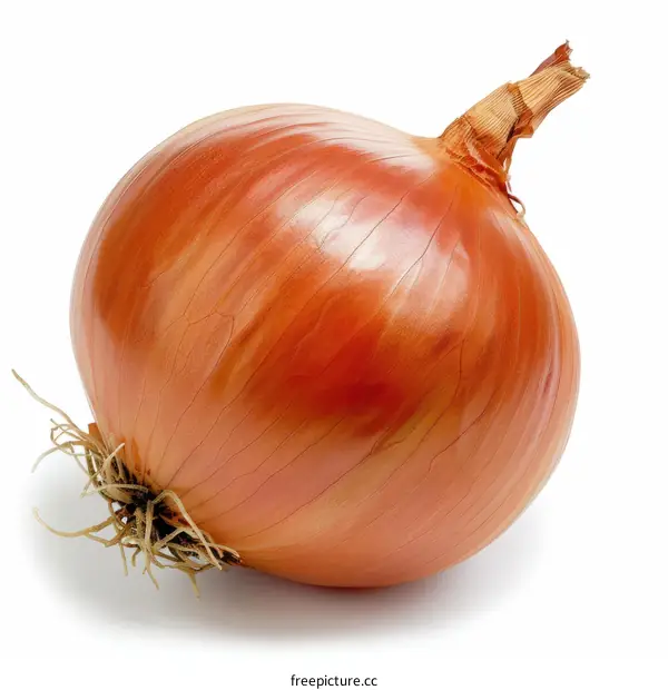 Single onion bulb isolated on white background