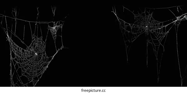 Cobwebs in Darkness Abstract Background