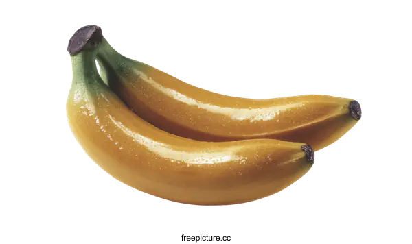 [Transparent Background PNG]Two Fresh Bananas Close Up