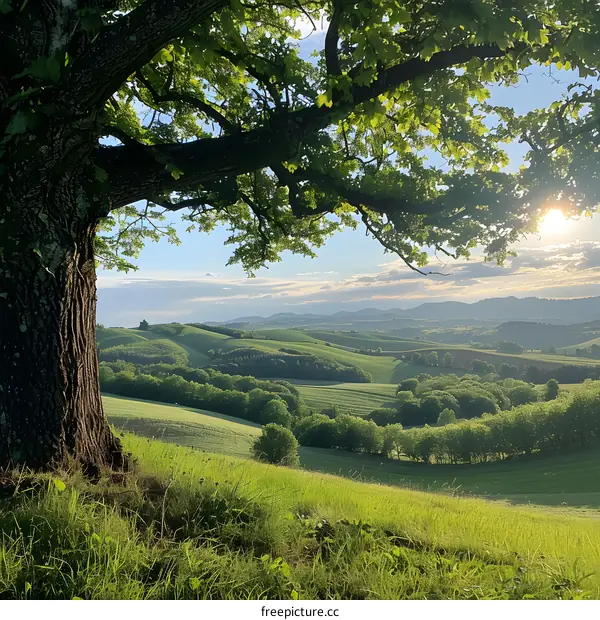 Sunset over rolling green hills