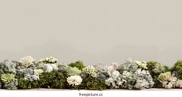 White and Green Moss Arrangement on a Beige Background