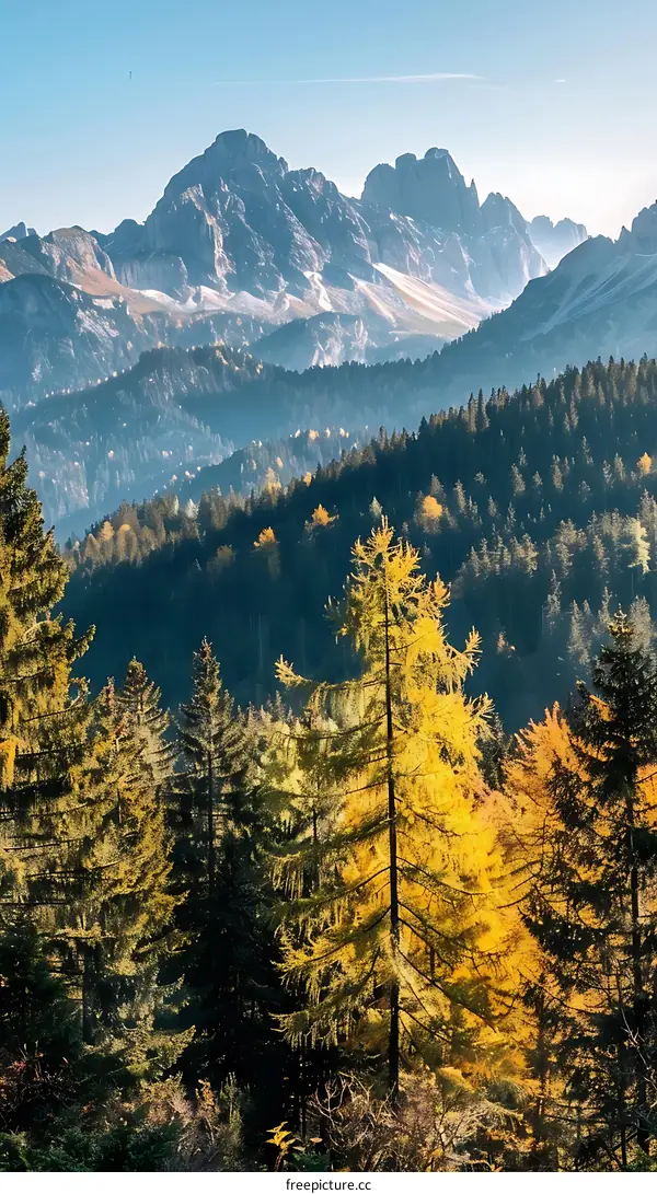Mountain View With Lush Green And Golden Trees