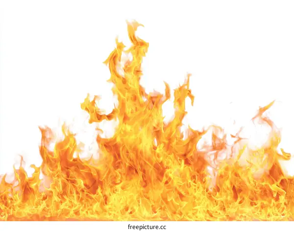Fiery Flames against a White Background
