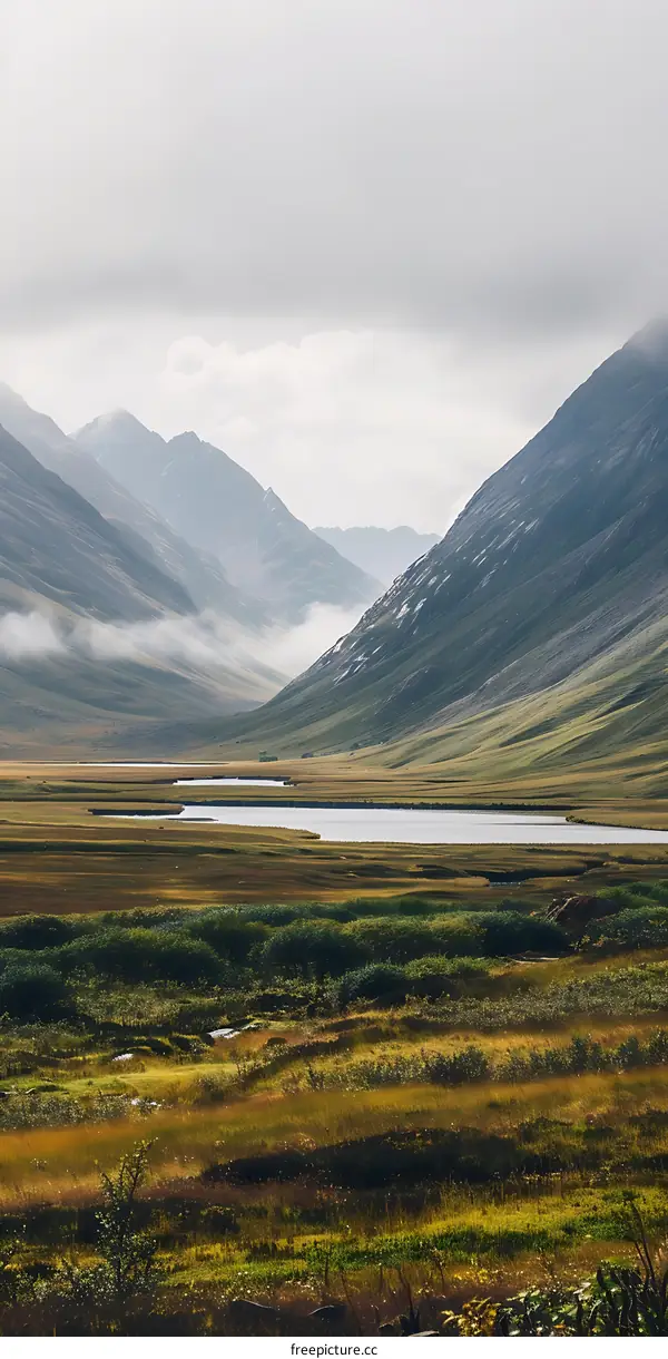 Mountain Valley Landscape with Fog