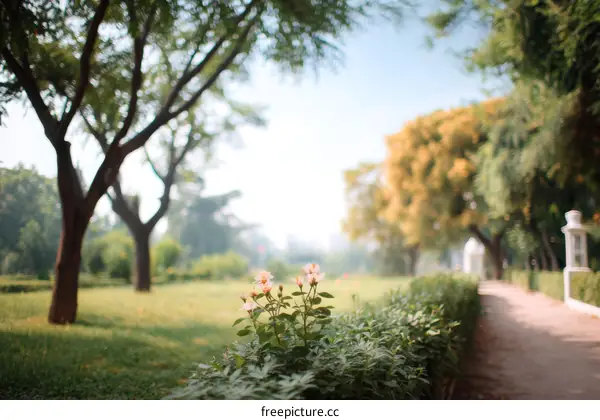 Peaceful Park Path with Blooming Roses