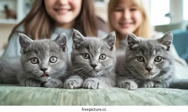 Three cute kittens with two girls in the background