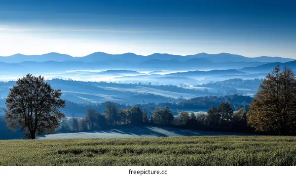 Misty Mountain Landscape with a Single Tree