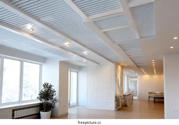 Modern White Interior with Decorative Ceiling