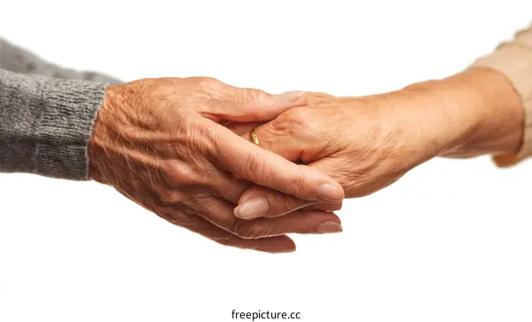 Elderly Hands Holding Hands