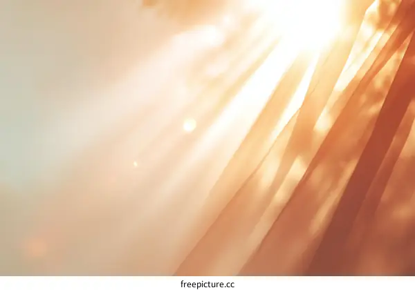 Sunlight Shining Through Sheer Curtains