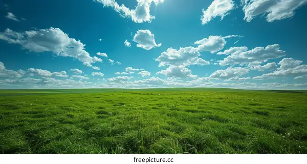 Green Field and Blue Sky with White Clouds