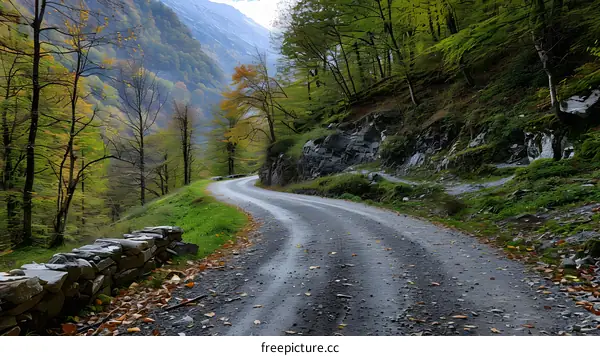 Winding Gravel Road Through Autumn Forest