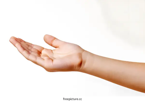 Open Hand Gesture on White Background
