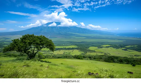 Green rolling hills and blue sky in Hawaii