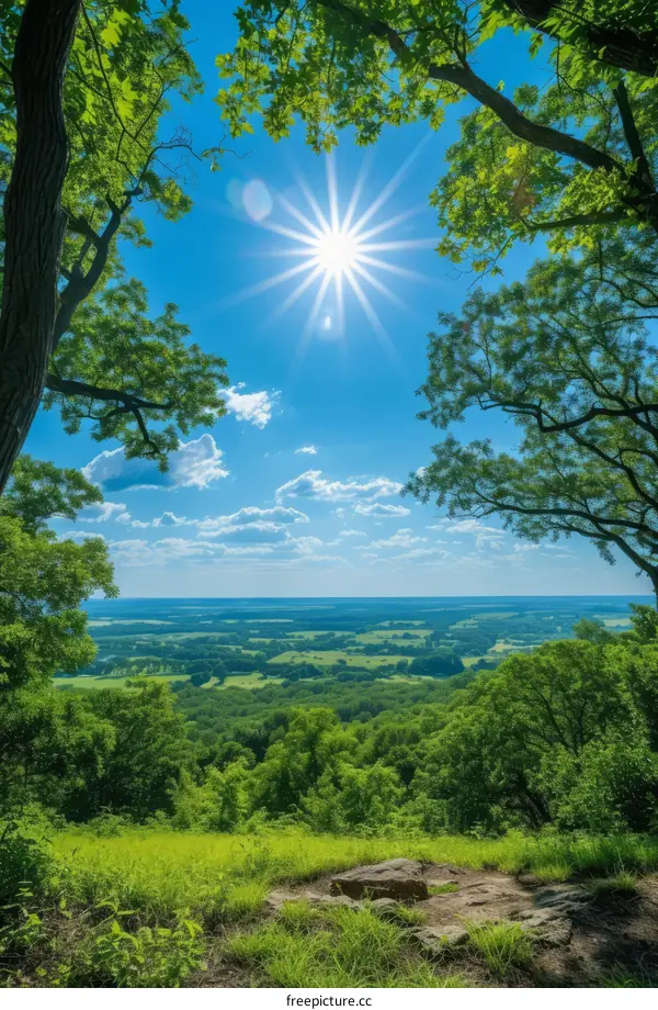 The sun shines through the trees over a lush green landscape