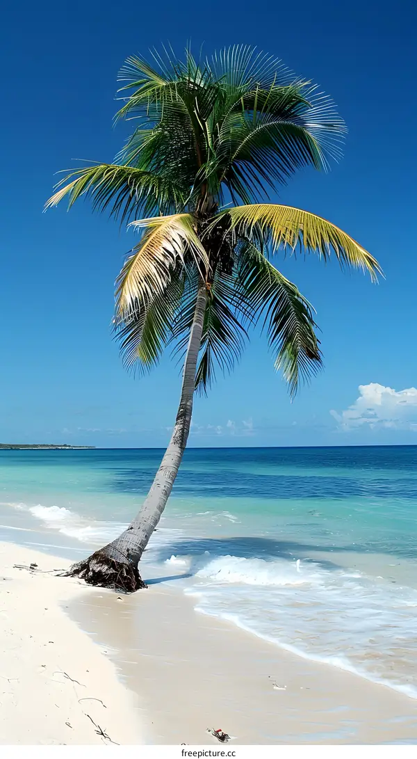 Tropical Beach Paradise