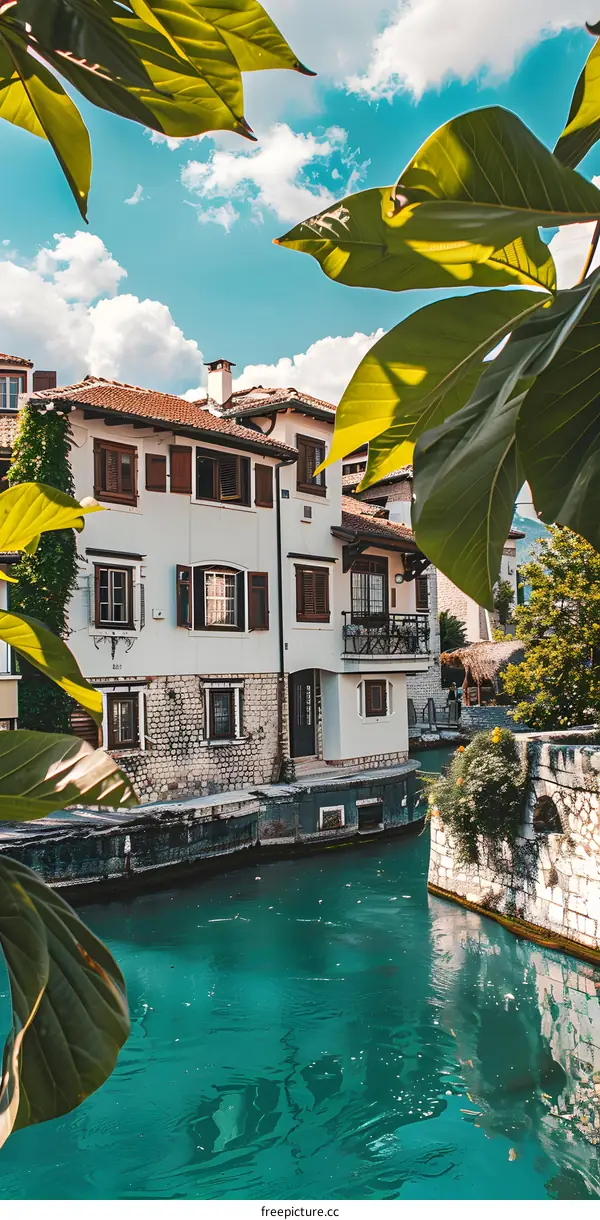 Canal View with Green Leaves and Building