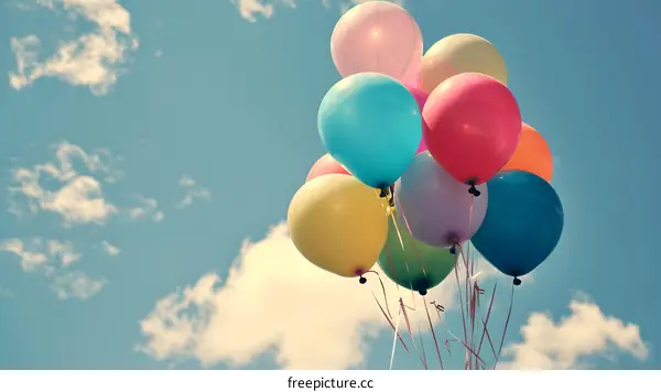 Colorful Balloons Floating in Blue Sky