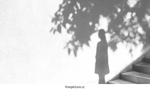 Shadow of a Woman on a White Wall with Outdoor Stairs