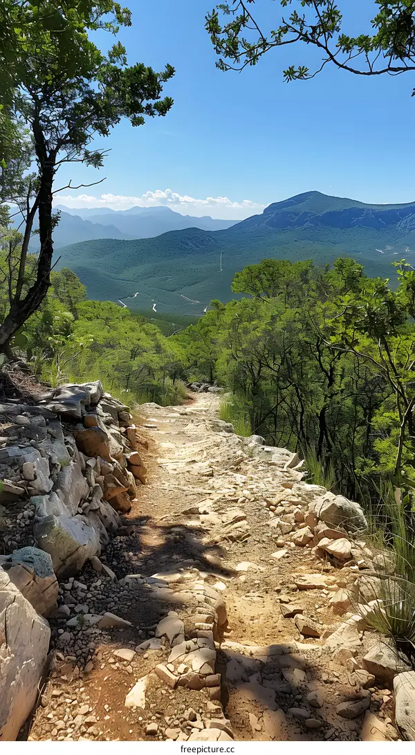 Rocky Path Through Green Mountain Forest