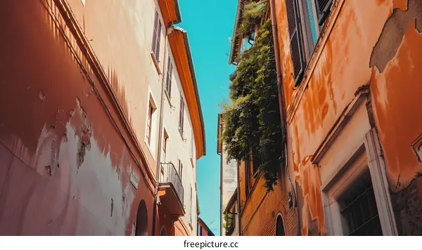Old Buildings in Italy with Vines and a Window
