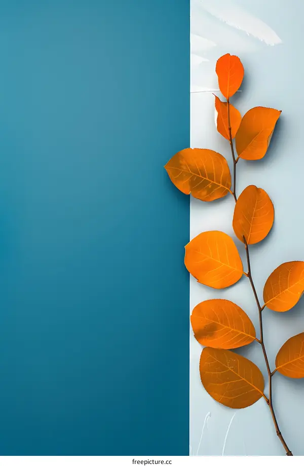 Autumn Leaves on Blue and White Background